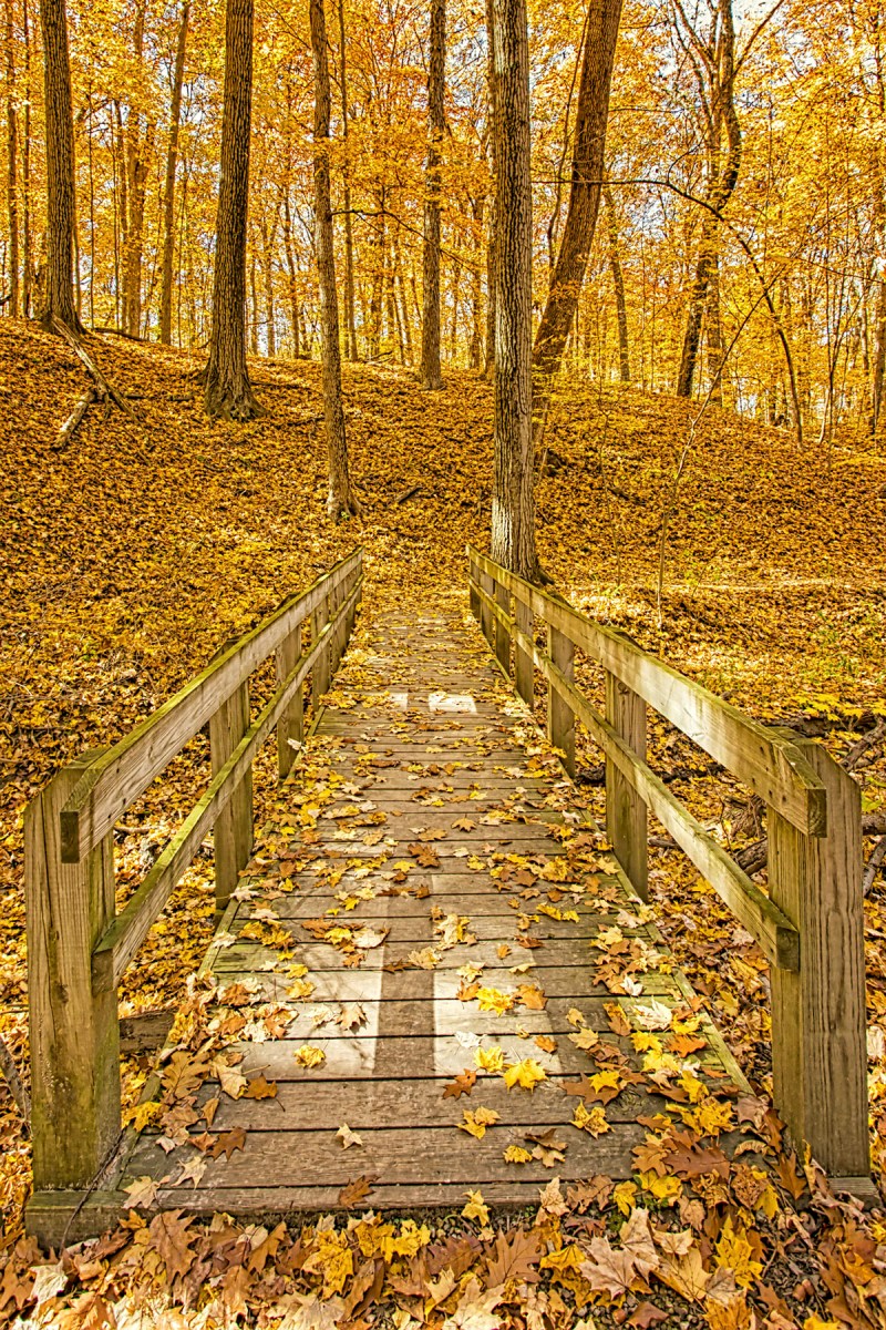 Trail Bridge at End of Autumn