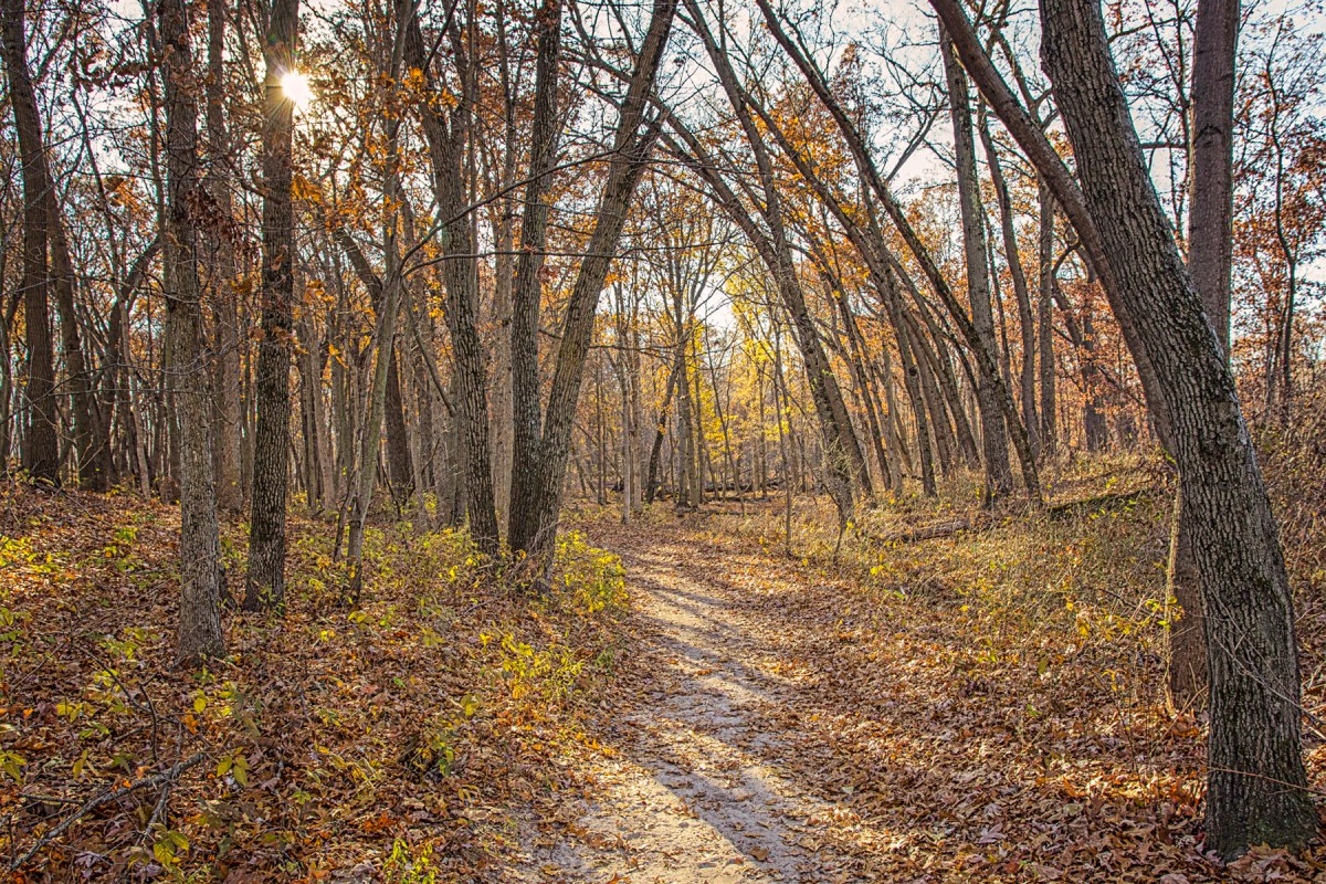 Trail Ten in November