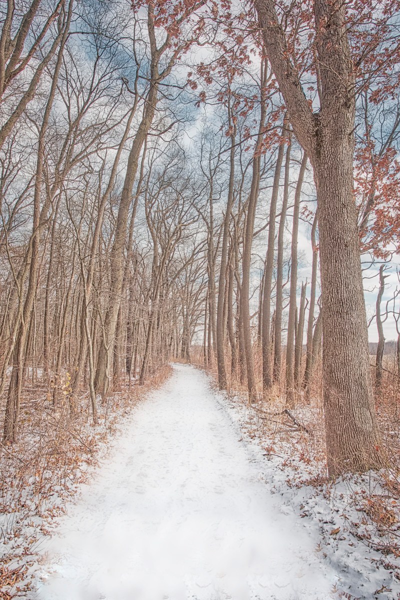 Cowles Bog Trail Following Early Snowfall