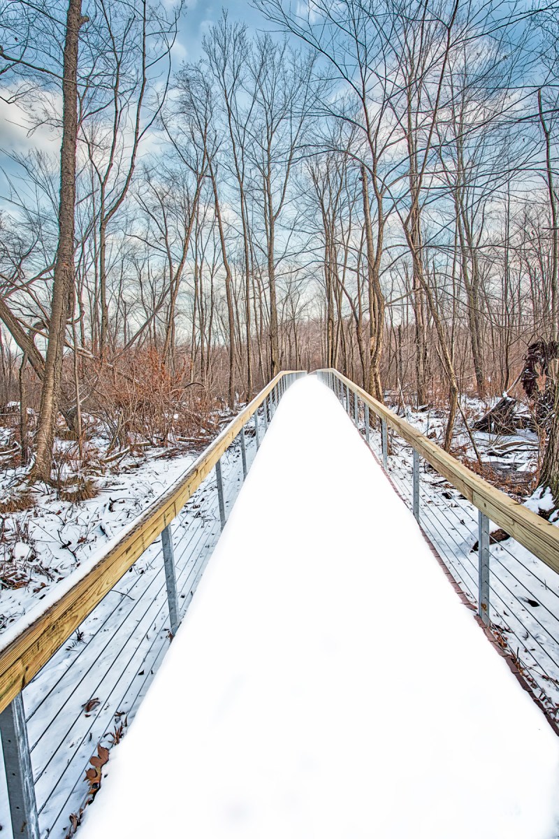 Cowles Bog Walkway in December Snow