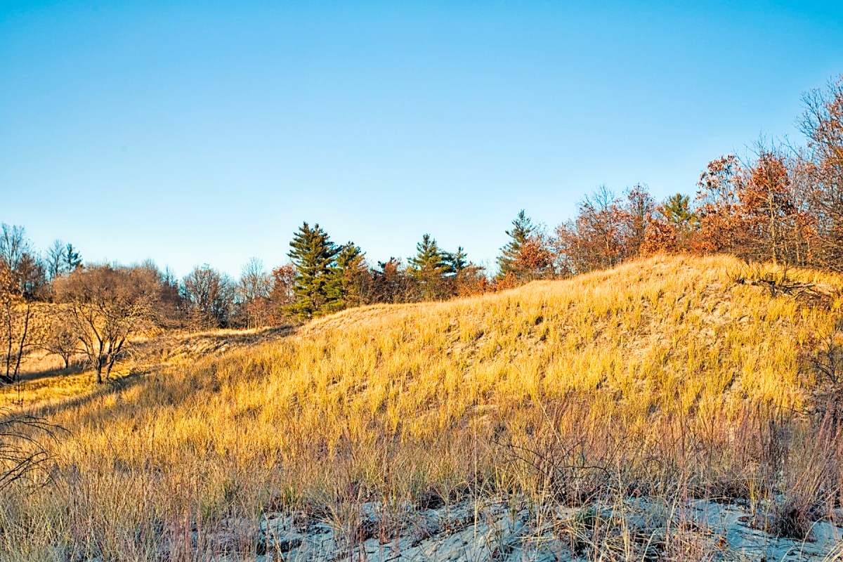 Dune Hill Under Angled Autumn Sunlight