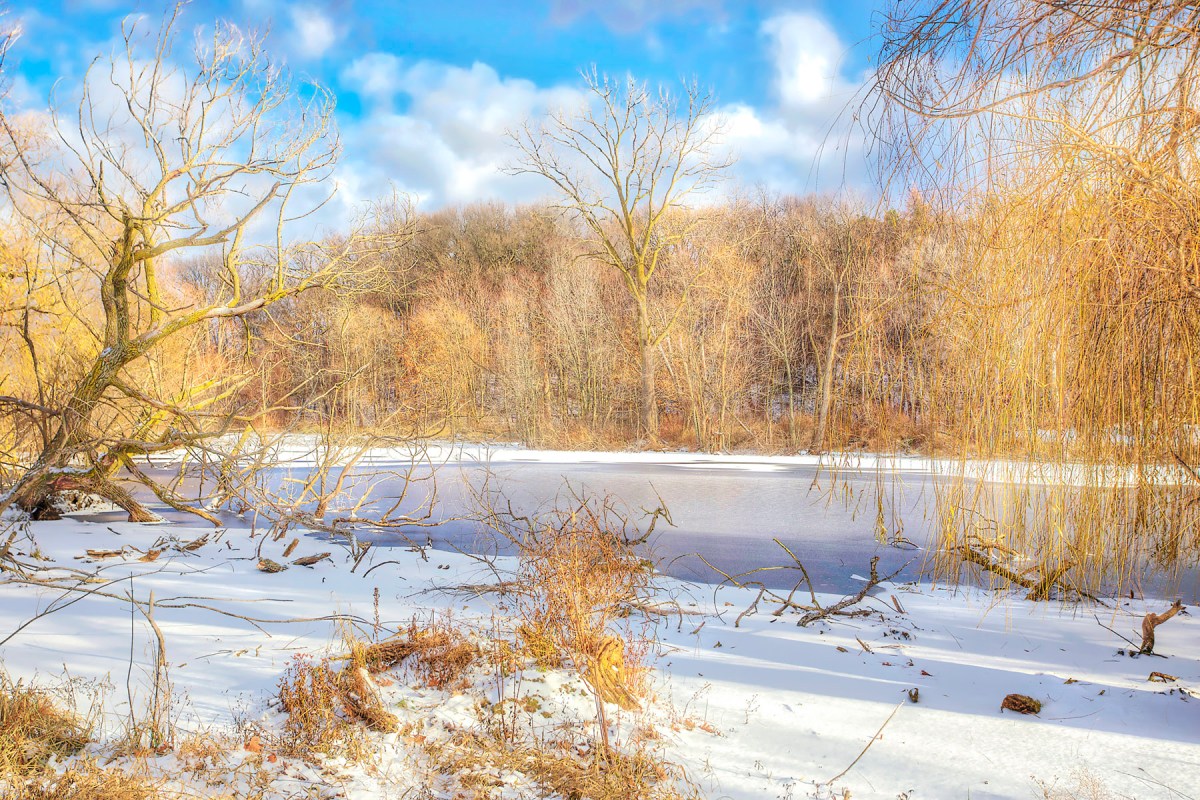 First Snowfall in December