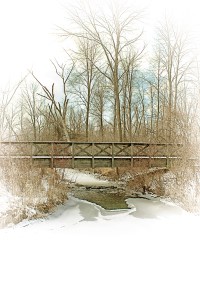 Footbridge After Lake-Effect Snowfall
