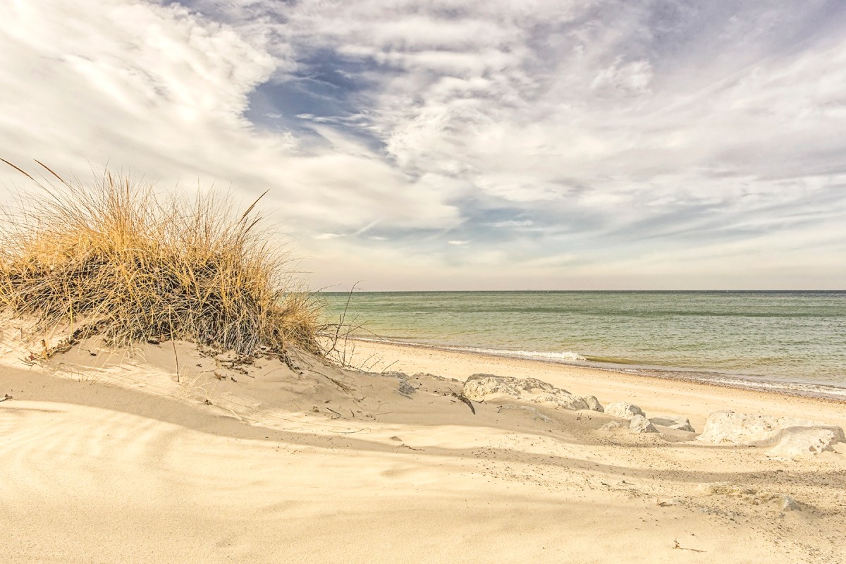 Mild December Day at Indiana Dunes