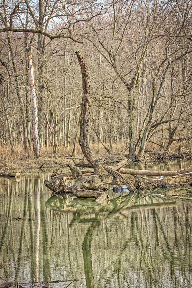 River Bend in December