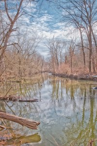 River in Early Winter