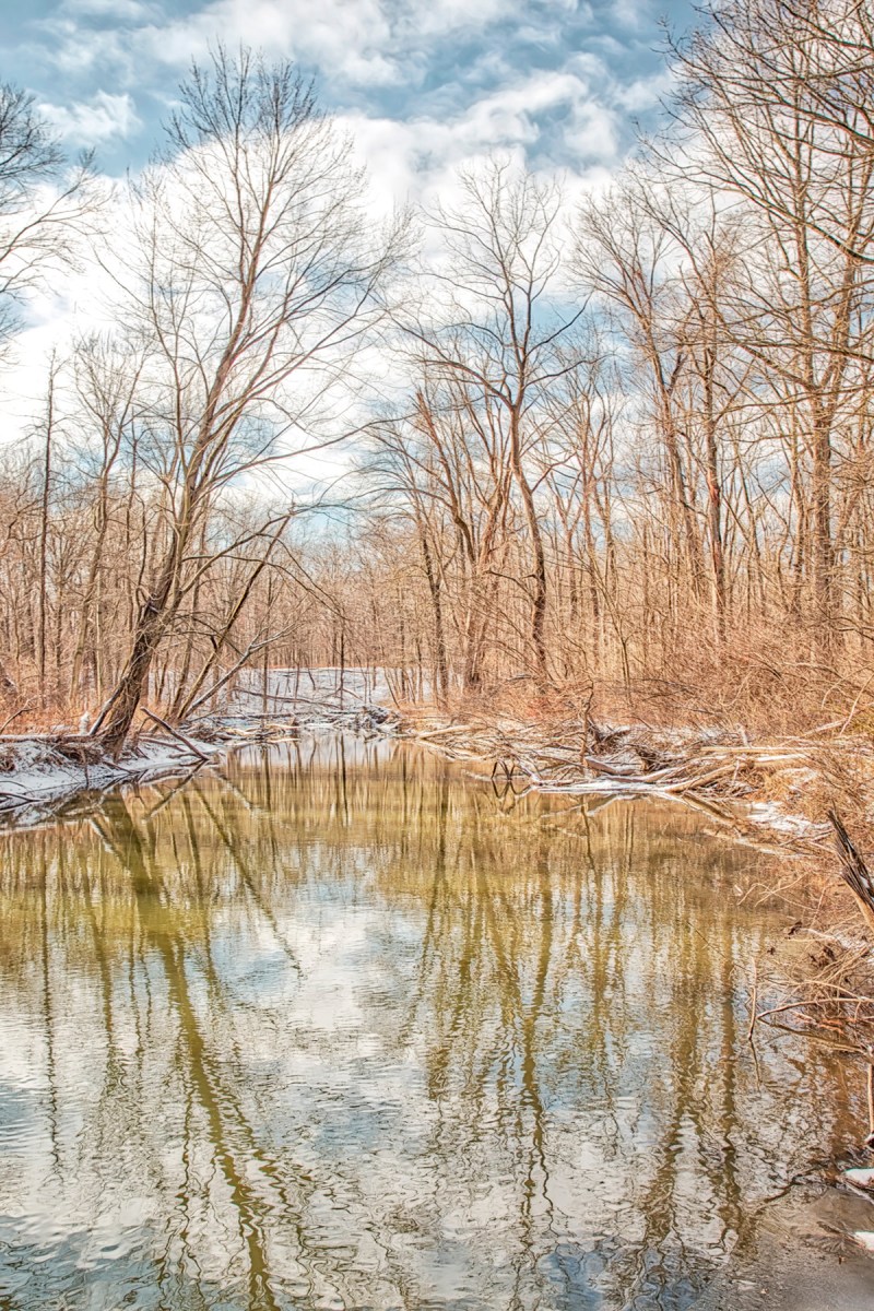 River in Mid-December