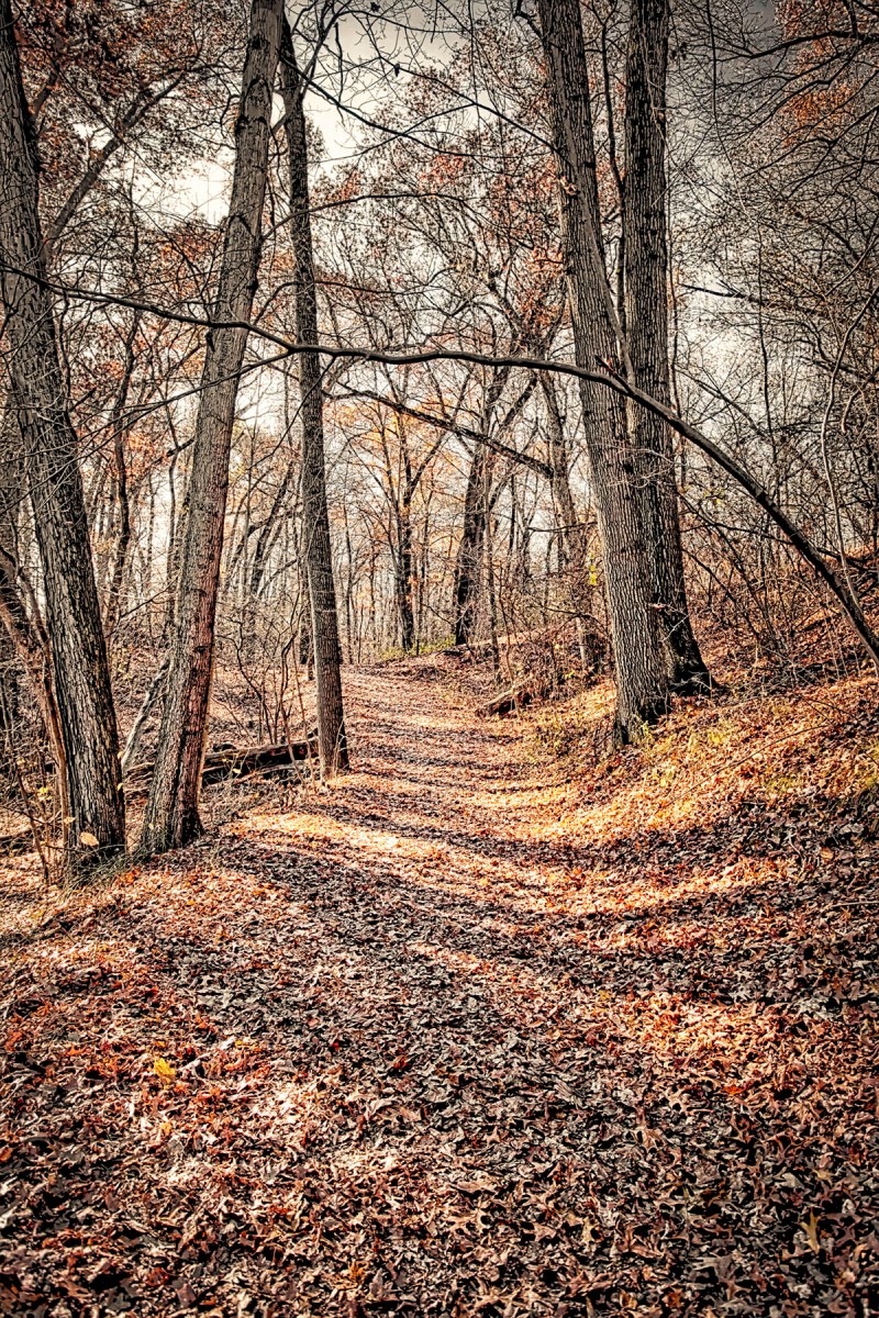 Traveling North on Trail Nine