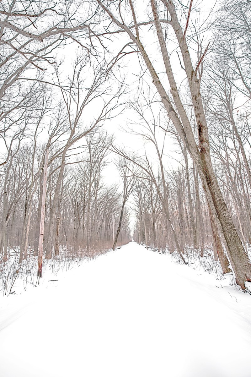 Closed Road After Overnight Snow