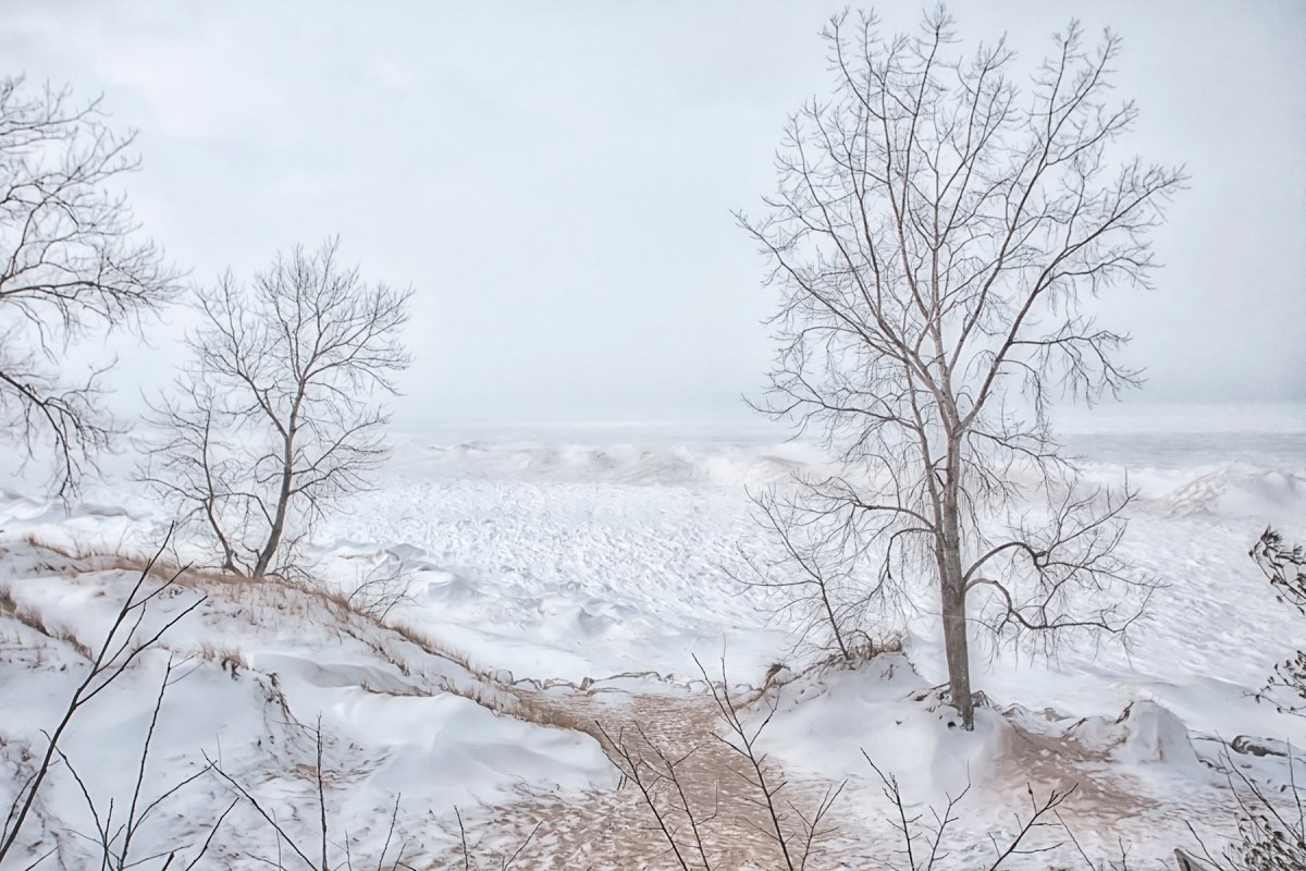 Shelf Ice at Beverly Shores
