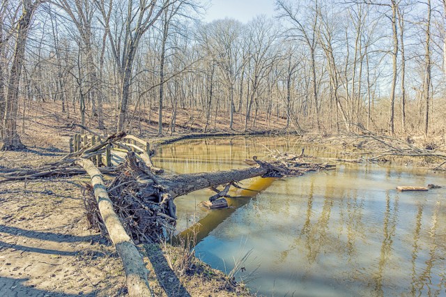Following the February Flood