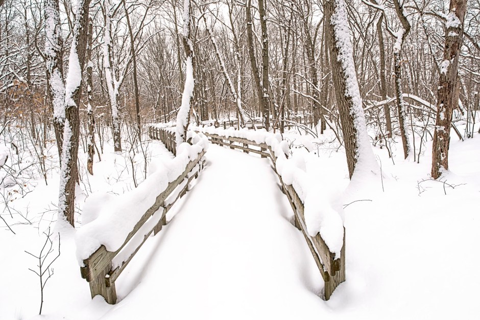 Forest Footbridge After Snowfall