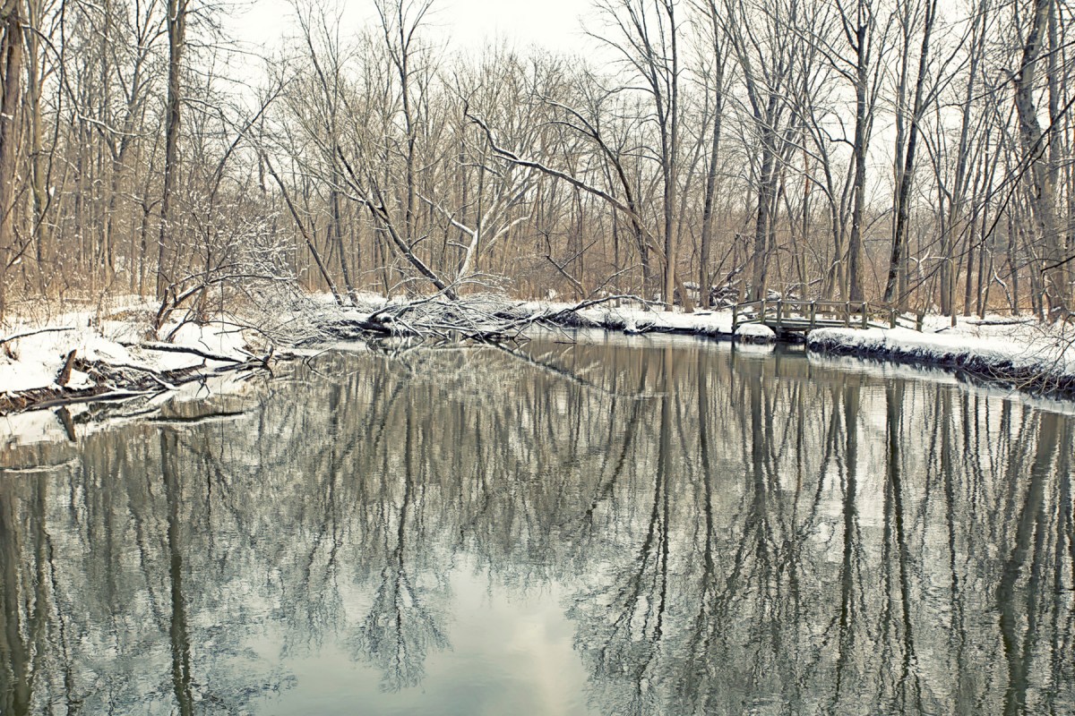 Little Calumet River Trail During Tranquil Thaw