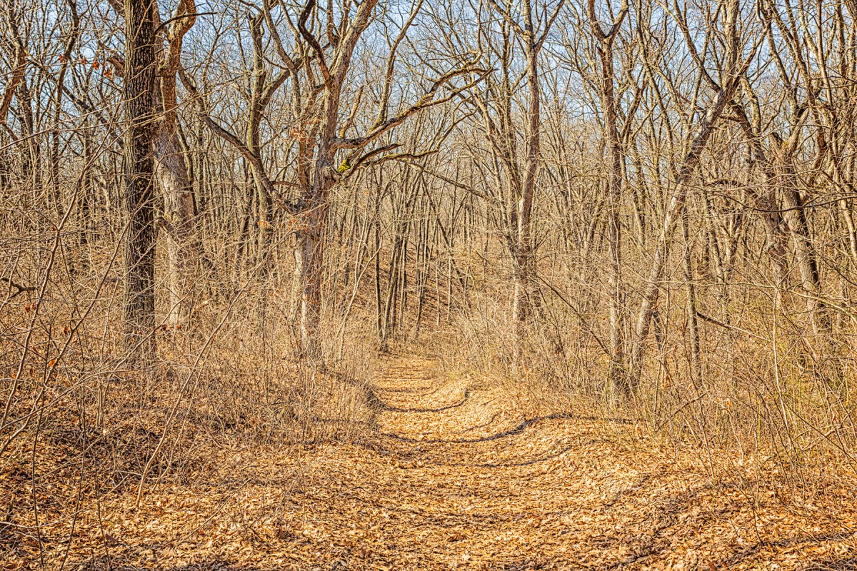 Mt Baldy Trail in Early Spring