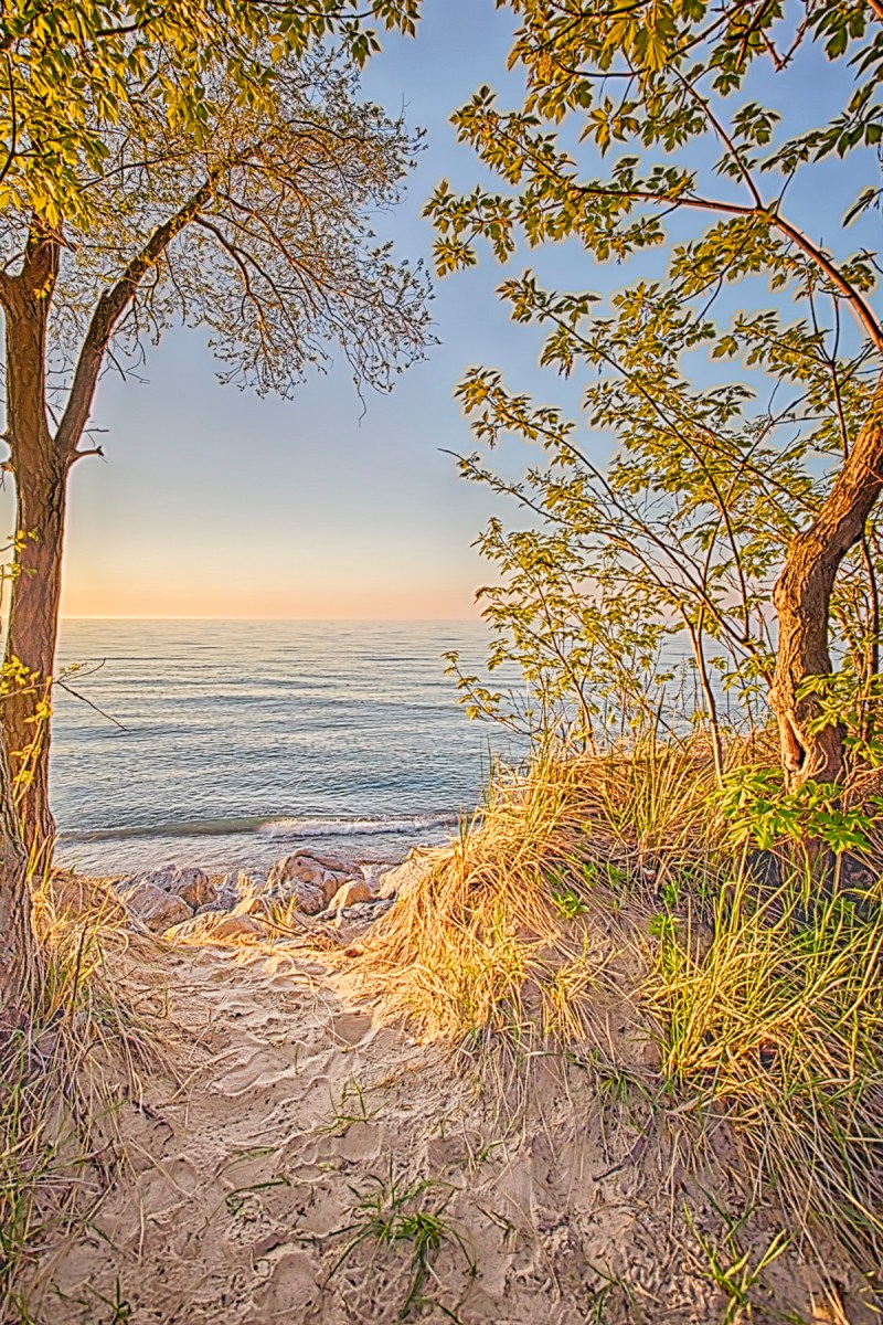 Beach Path in Spring Light