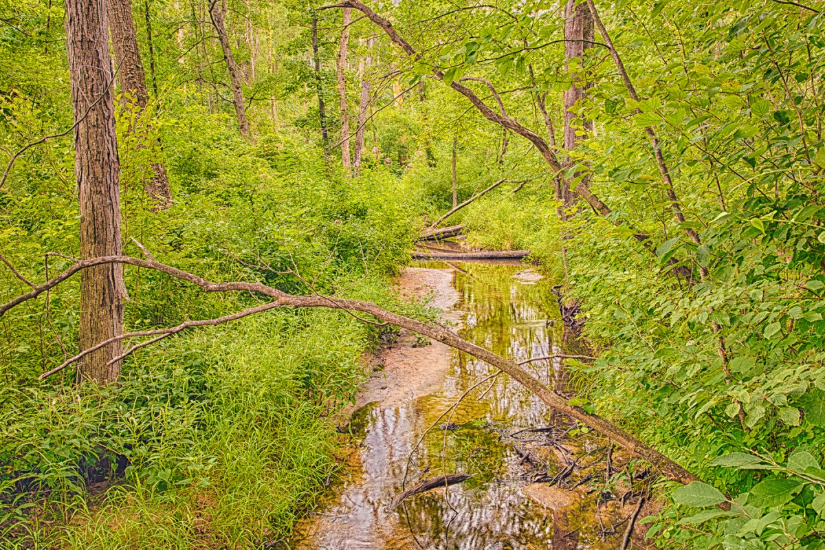 Dunes Creek During Dry Days