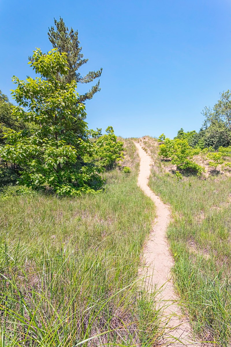 Sand Trail to Dune Ridge