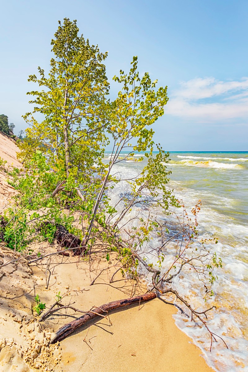 Damaging and Dangerous Waves