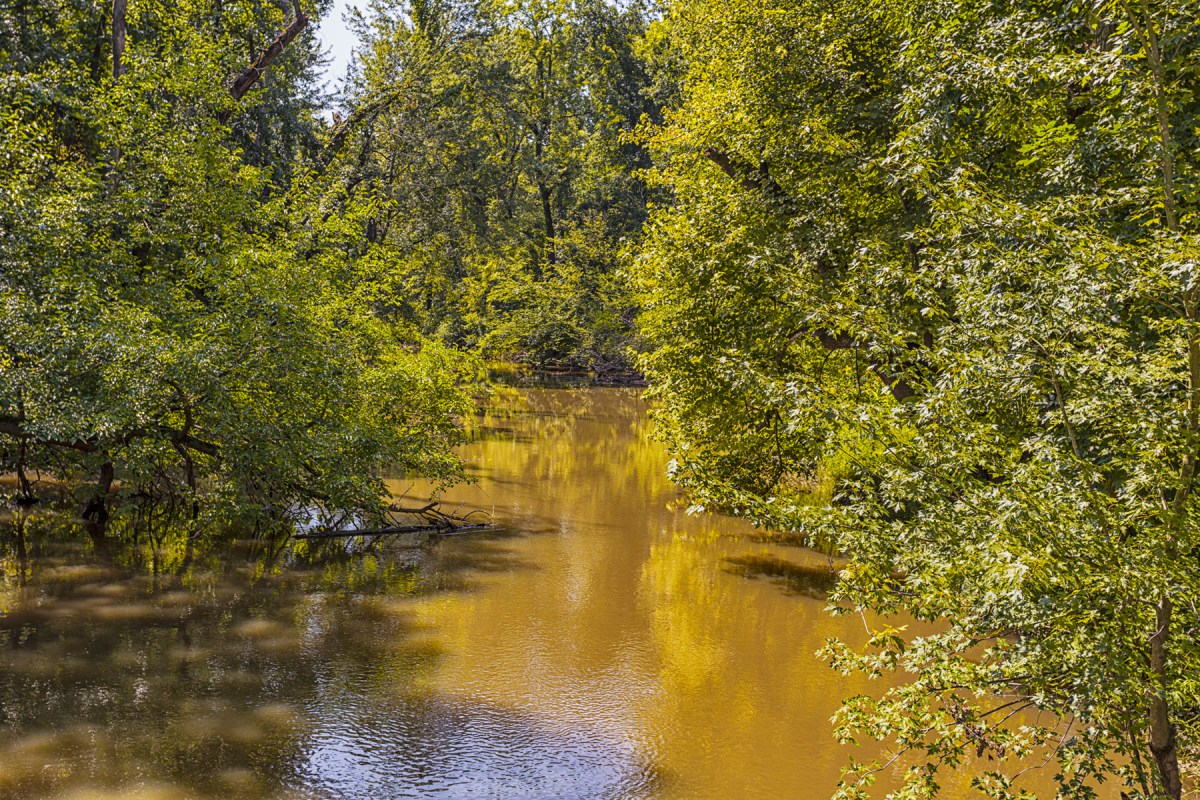 River After August Rains