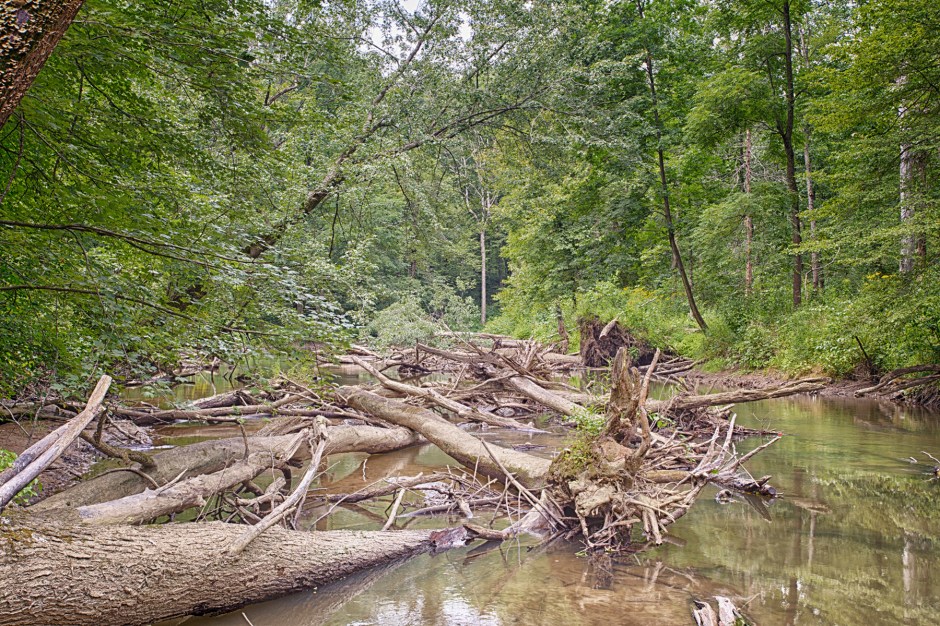 River at Low Level in Late Summer