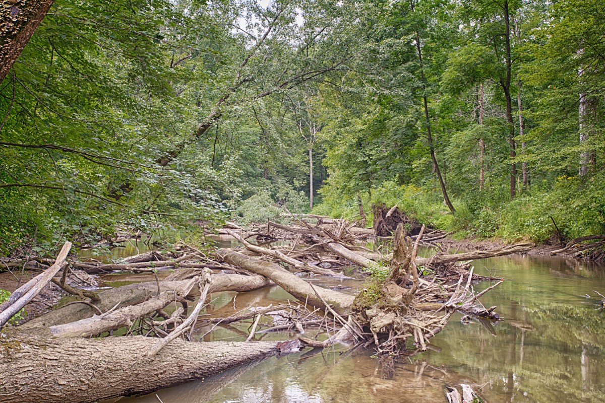 River at Low Level in Late Summer