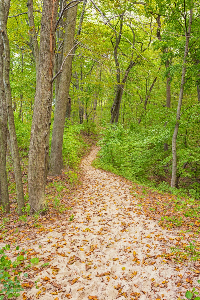 First Signs of Approaching Fall Season