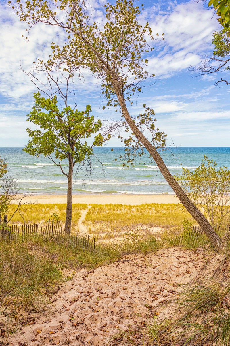 View from Wooded Ridge Trail