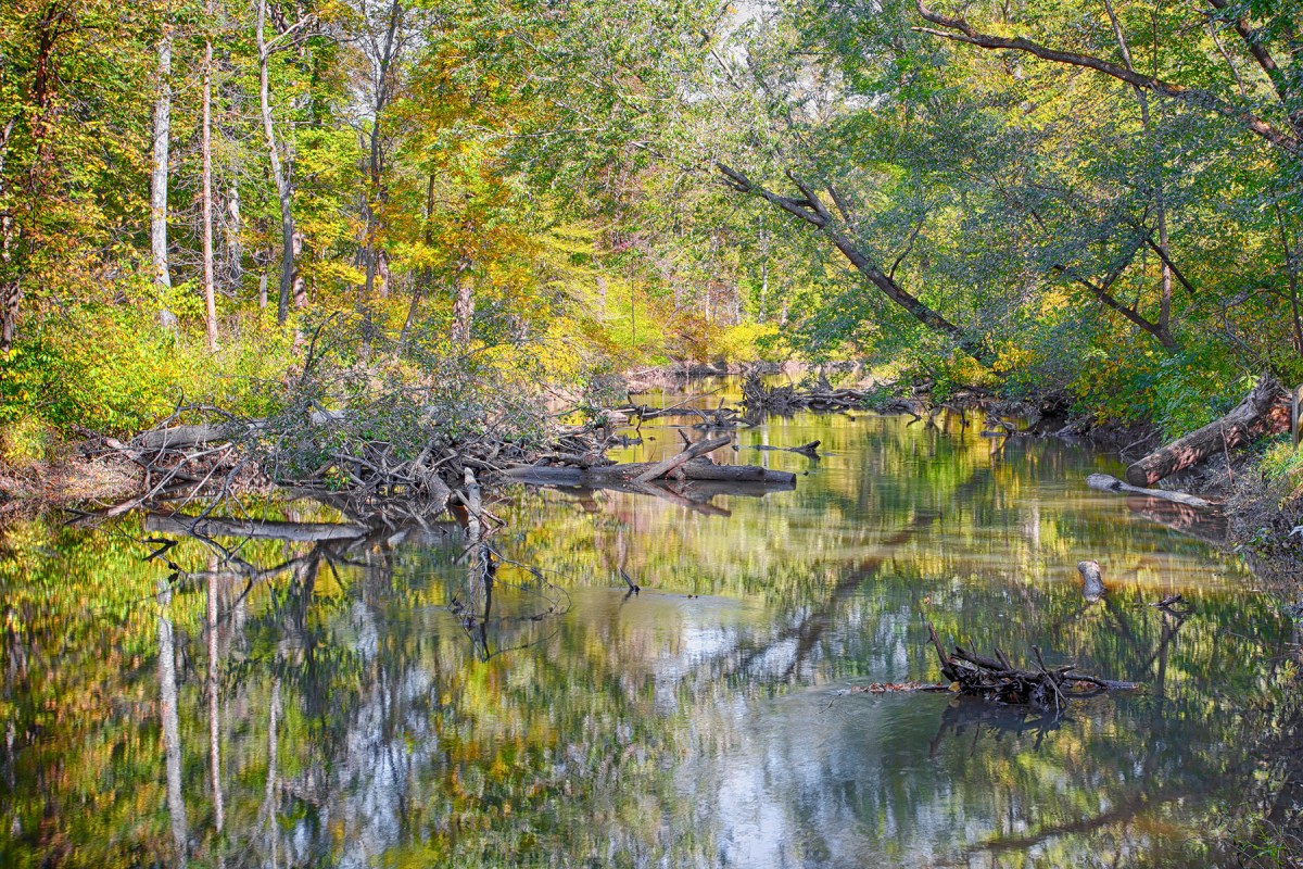 River in Early Autumn
