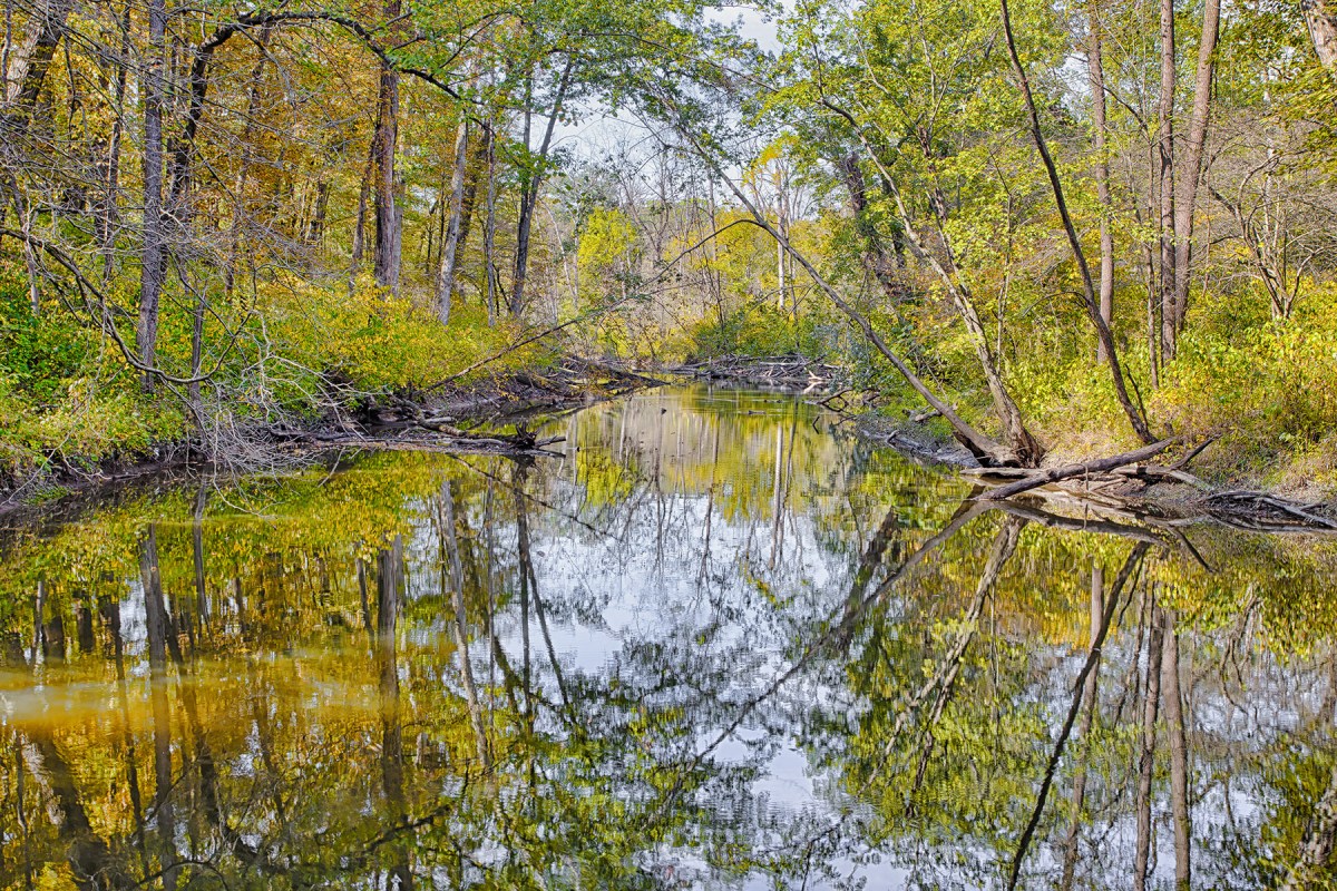River Reflection in Early Fall