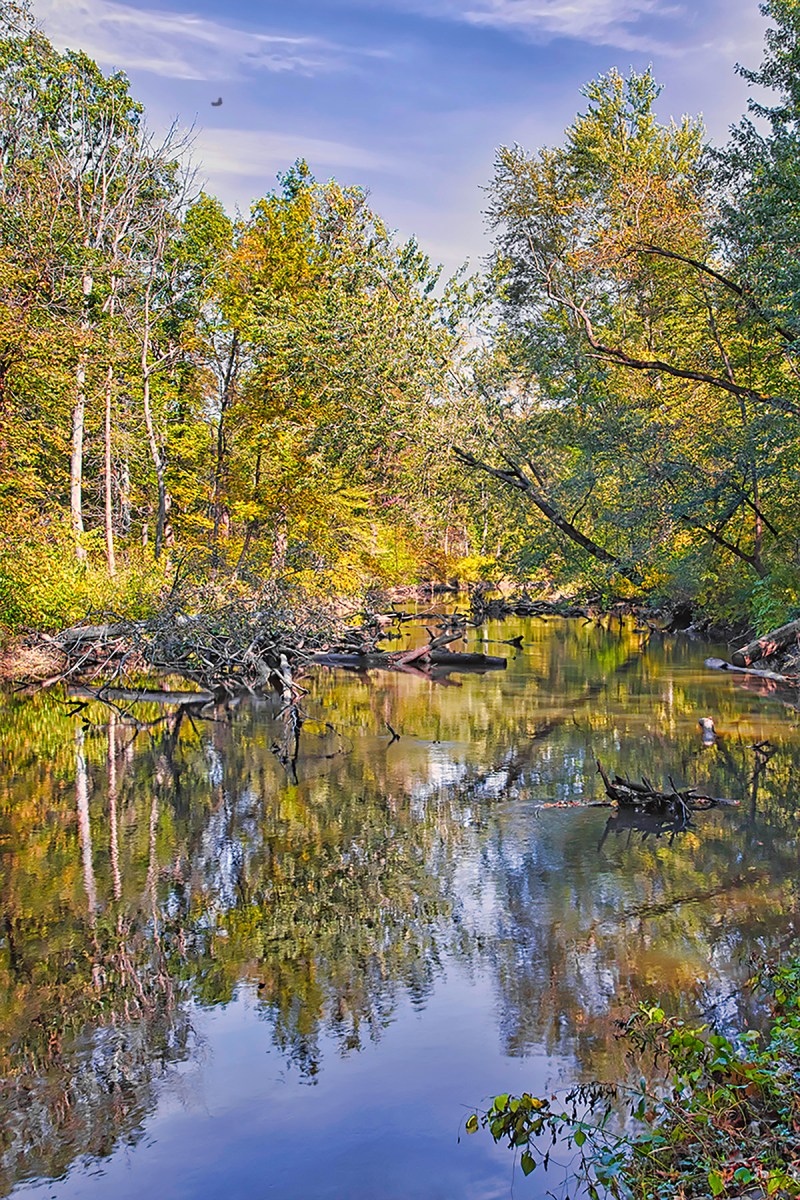 Still Waters in Mid-October with Hawk