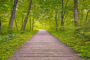 Hiking After Early Autumn Rain