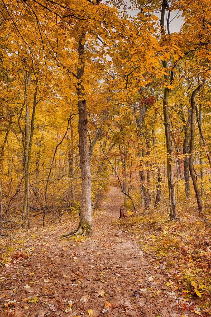 Late Autumn at Trail Ten