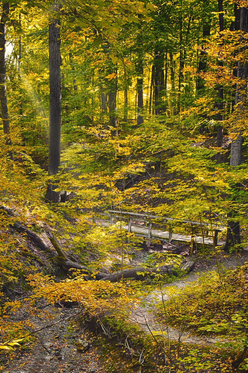Chellberg Trail in Autumn