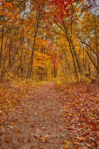 Trail Ten in November