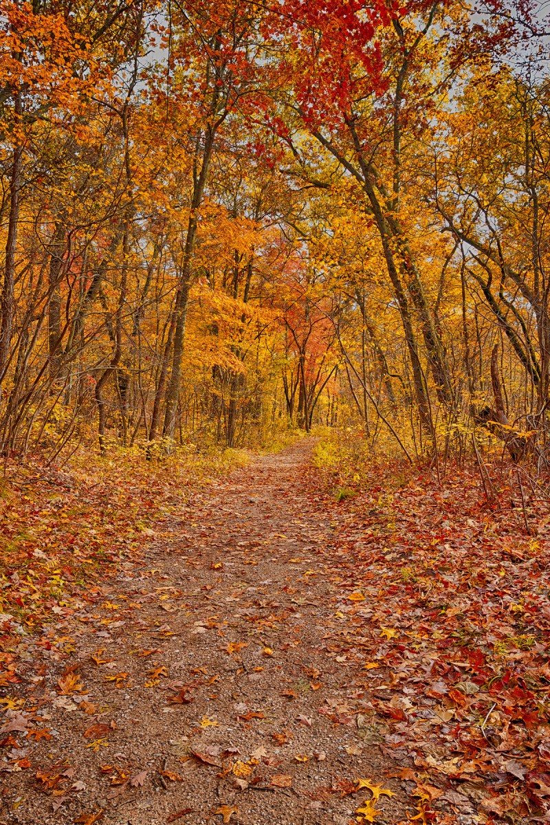 Trail Ten in November