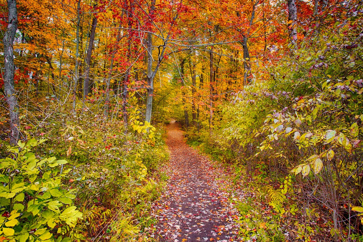 Trail Eight in Autumn