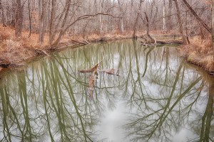 River at Winter Solstice