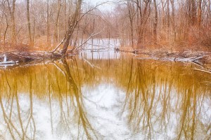 Little Calumet River After Morning Snow