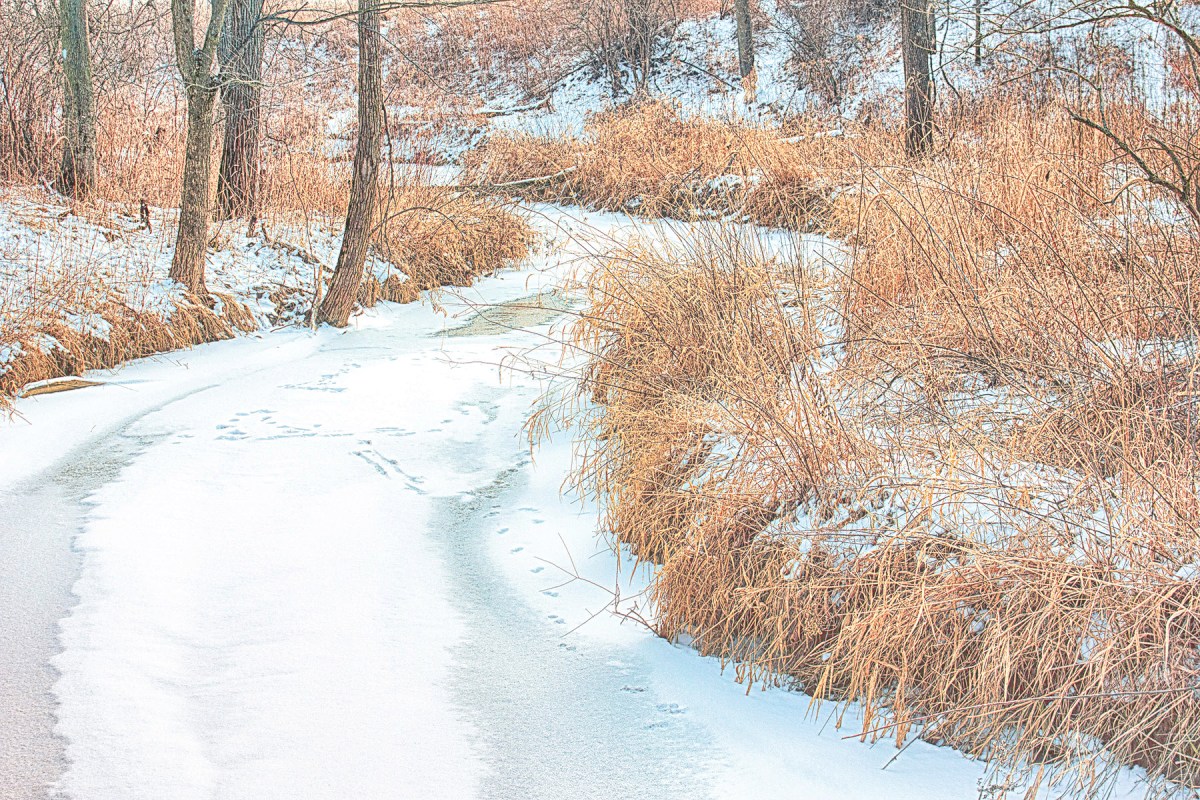 Creek Under January Snow