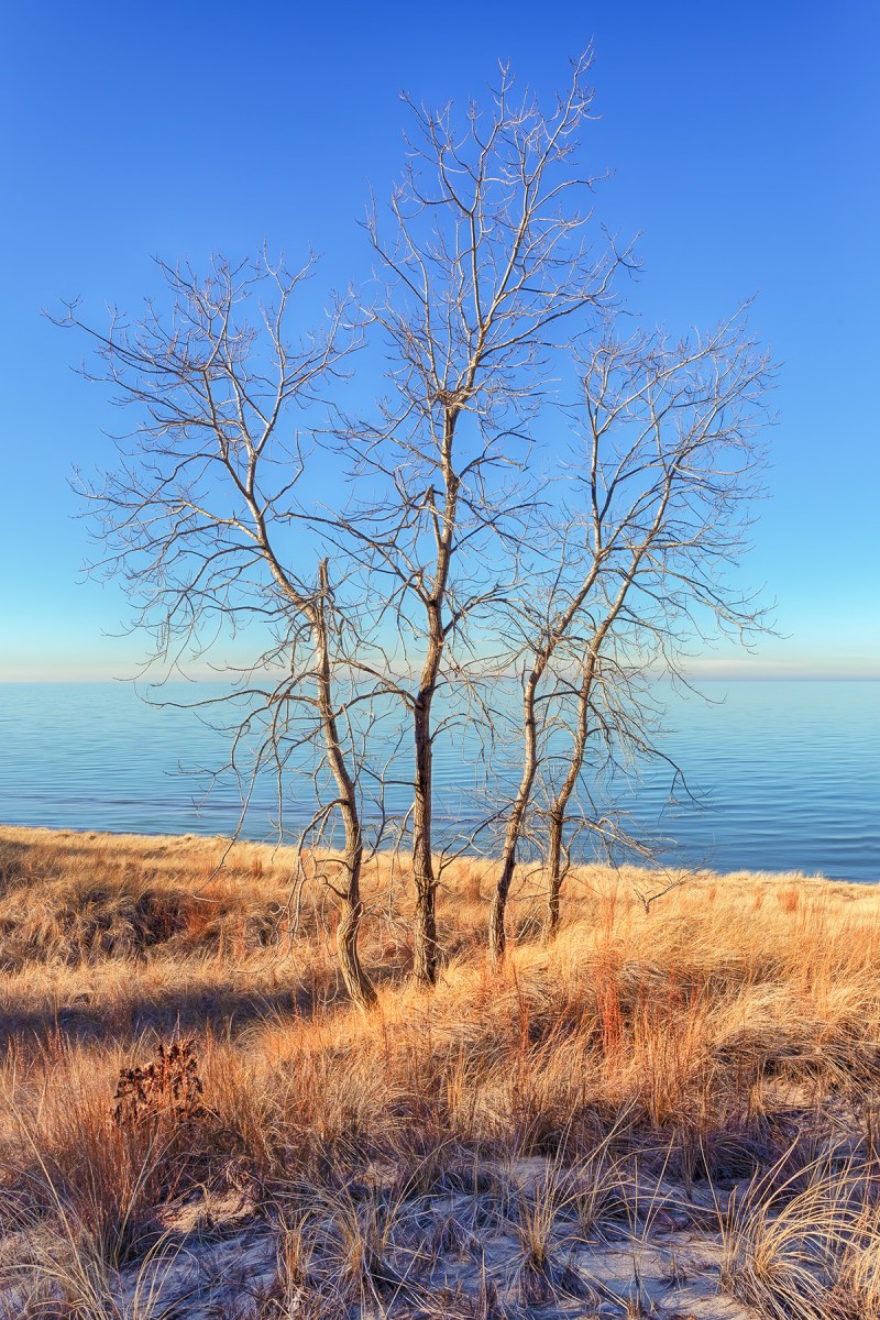 Dudley Site in Mild Winter Weather