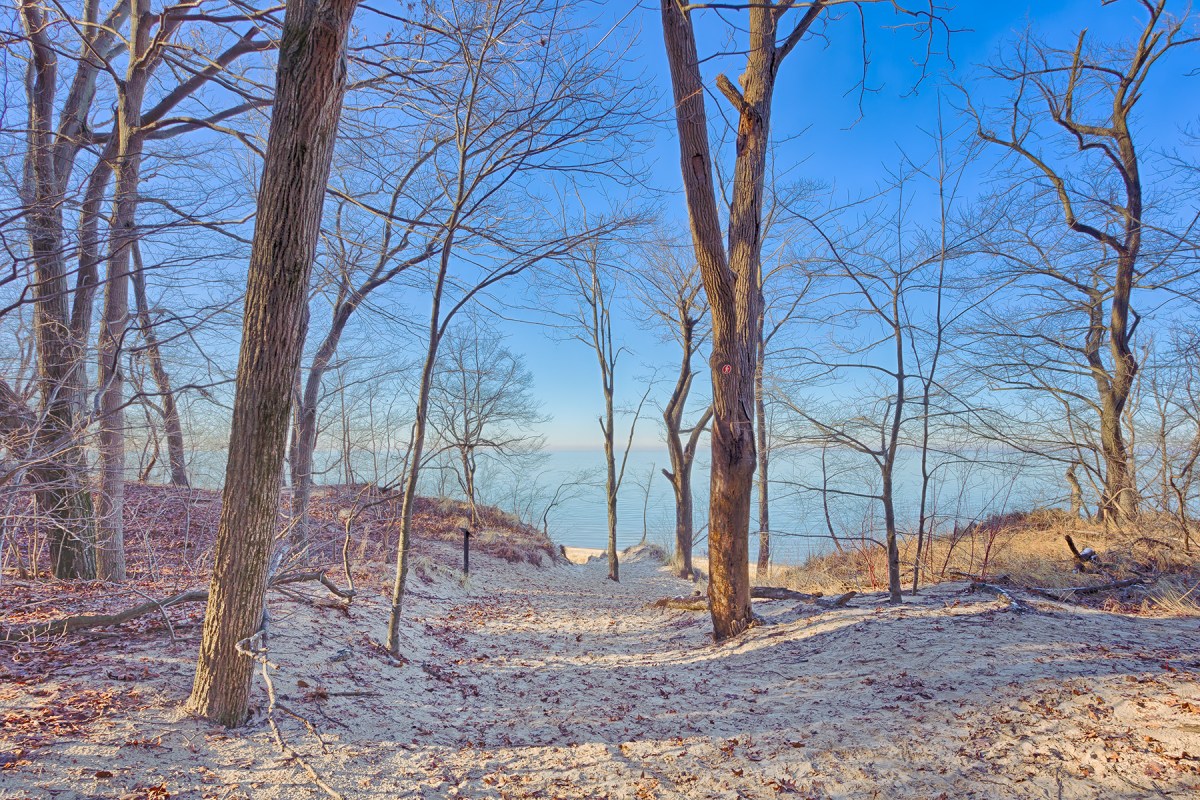 Trail Seven Toward Shore