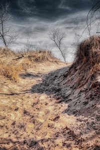 Dark Skies Above Dunes Trail