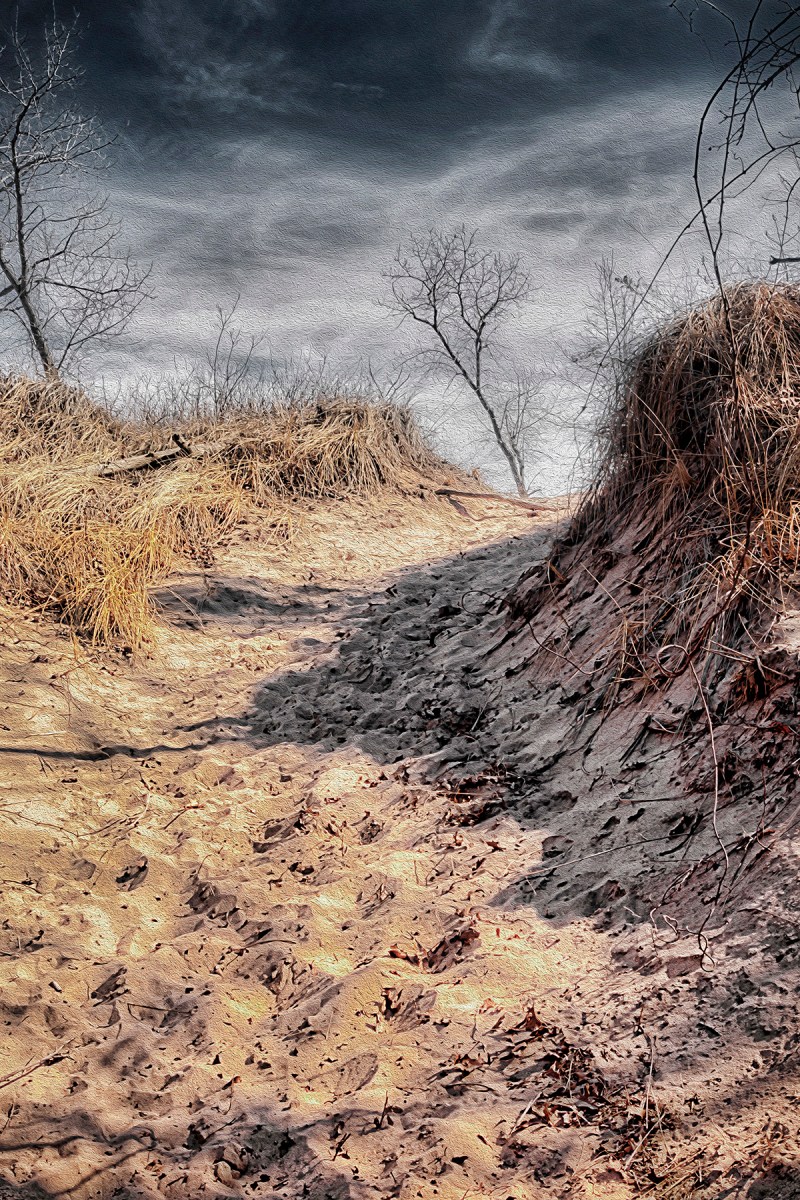 Dark Skies Above Dunes Trail