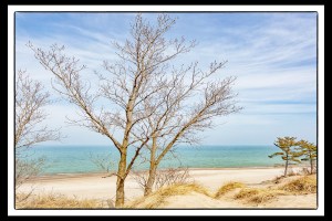 Dune Trees and Lake Haze PR sm copy2