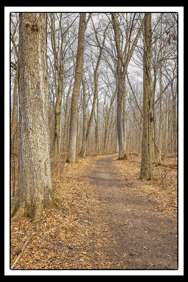 Trail two Woods in Early Spring PR sm