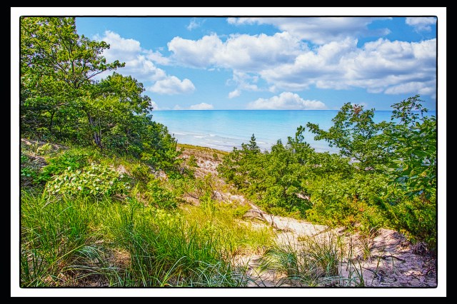 Trail 9 Lake View in Late May1 PR sm