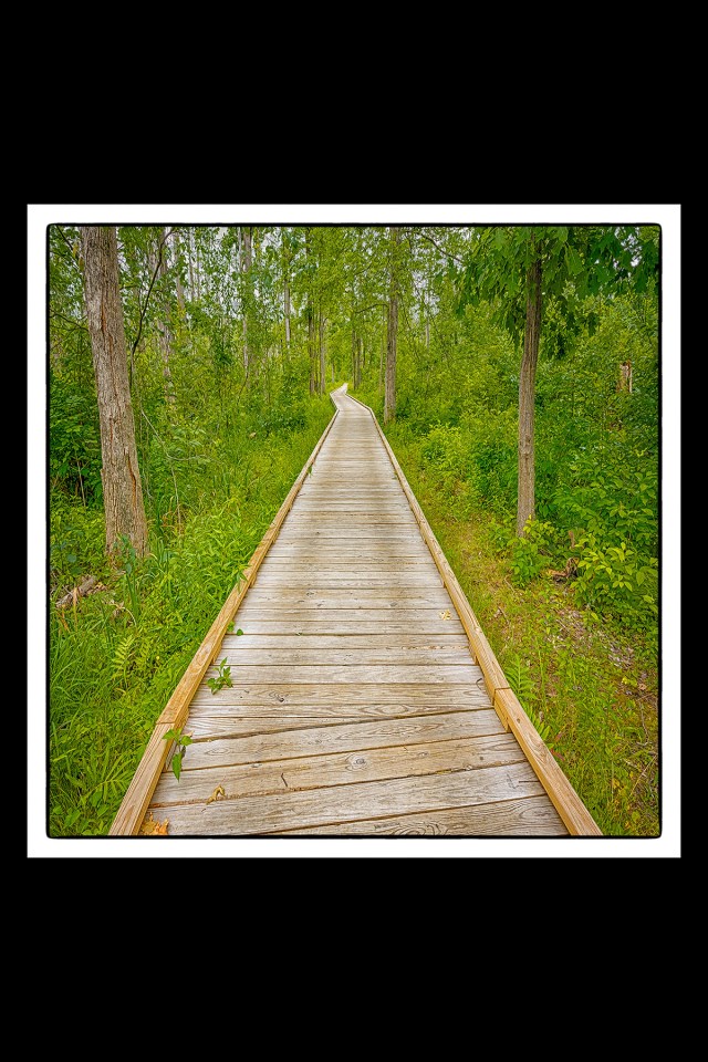 Trail 2 Boardwalk 4x6 sq sm PR fr