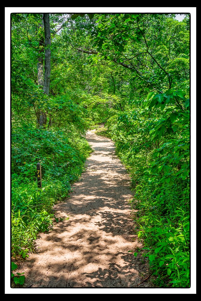 Trail 7 in Early Summer PR sm