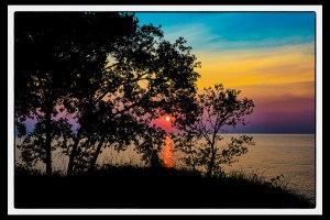 Summer Sunset Through Beach Trees PR sm art